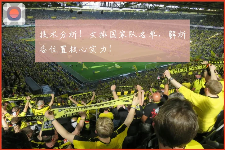 技术分析！女排国家队名单，解析各位置核心实力！