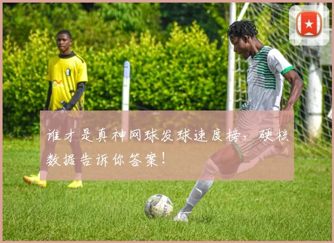谁才是真神网球发球速度榜，硬核数据告诉你答案！